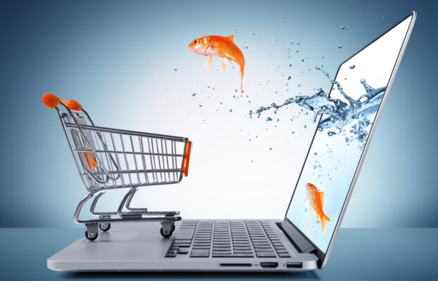 E-commerce Made Easy: Exploring The Best Platforms For Your Business